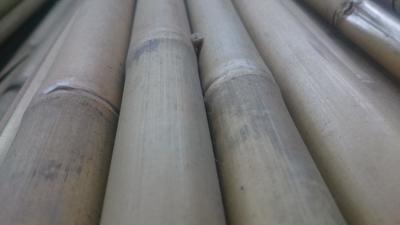 Bambus 150 12-14