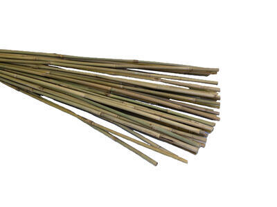 Bambus 150 16-18 