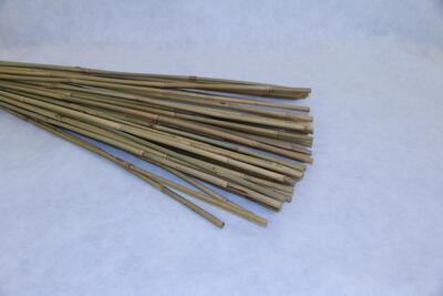 Bambus  90 10-12